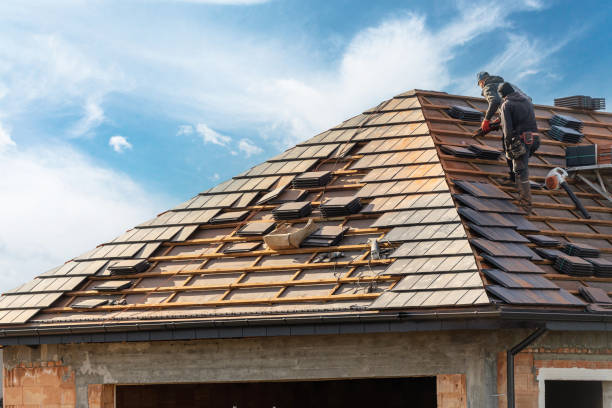 Best Roof Insulation Installation  in Jewett City, CT
