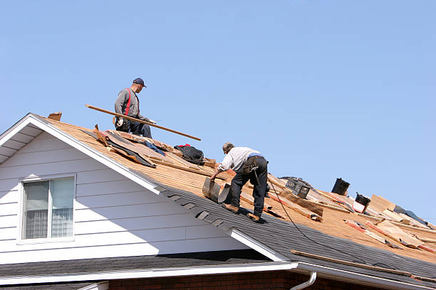 Best Storm Damage Roof Repair  in Jewett City, CT